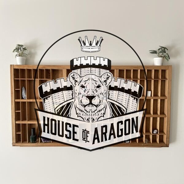 Cover art for House of Aragon